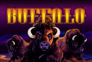 buffalo slot game