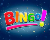 Bingo Logo