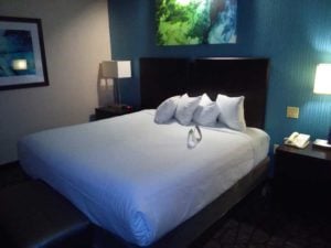 Harrah's Cherokee Hotel Room