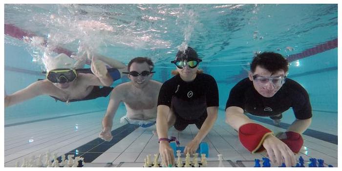 Diving Chess Group Mind Sports Olympiad