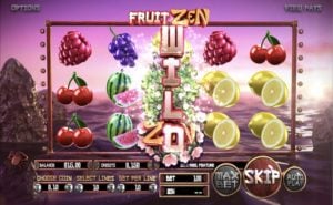 Fruit Zen Wild Reel