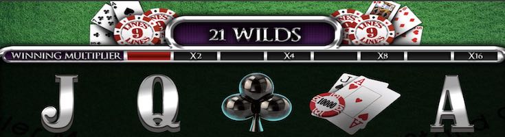 21 Wilds Banner