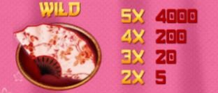 Secrets of a Geisha Online Slot Wild Symbol