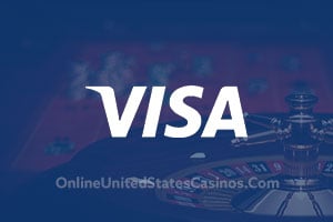 Visa Credit card Image