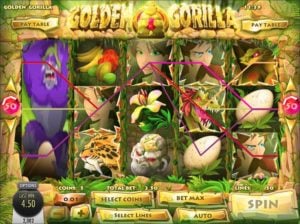 Play Golden Gorilla for Real Money