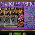 Bubble Bubble Online Slot Wild Witches Features