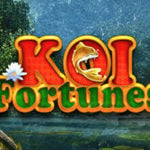 Koi Fortunes