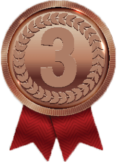 Casino Jackpot Winners Bronze Medal