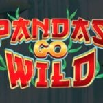 Pandas Go Wild Intro