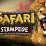 Safari Stampede