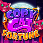 Copy Cat Fortune