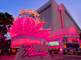 Flamingo Casino