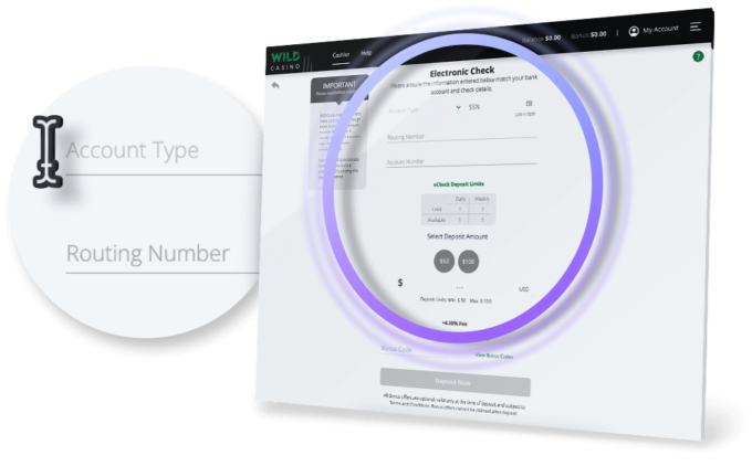 Enter Your eCheck Data