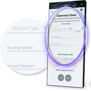 Enter Your eCheck Data (Mobile)