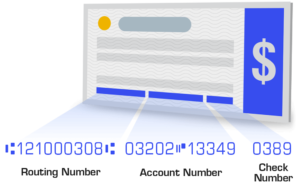 Identify Your Echeck Data