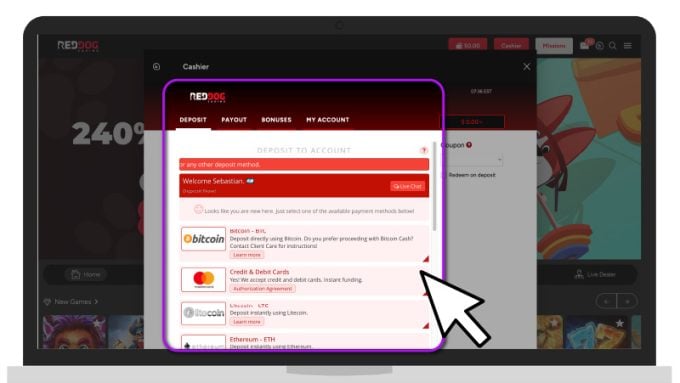 Red Dog Casino Payment Methods Desktop
