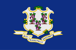 Connecticut State Flag