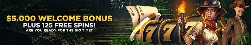 Wild Casino Welcome Bonus