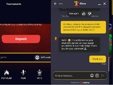 Hell Spin casino customer service live chat thumbnail 4