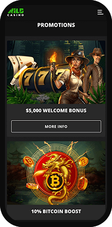 Wild Casino Casino Promos