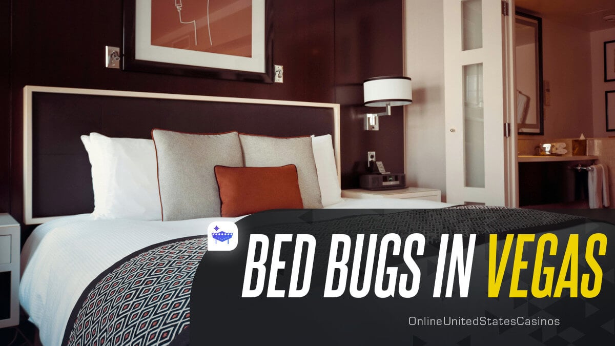 Bed Bugs in Vegas